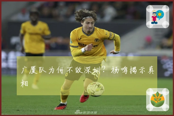 广厦队为何不敌深圳?杨鸣揭示真相